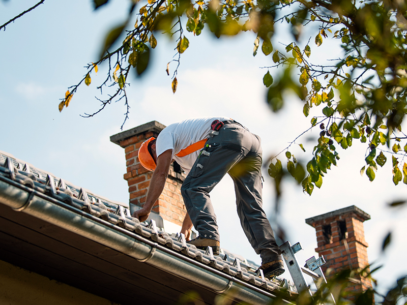 Sell like a pro in New Tampa: Preparing your home for sale on a budget